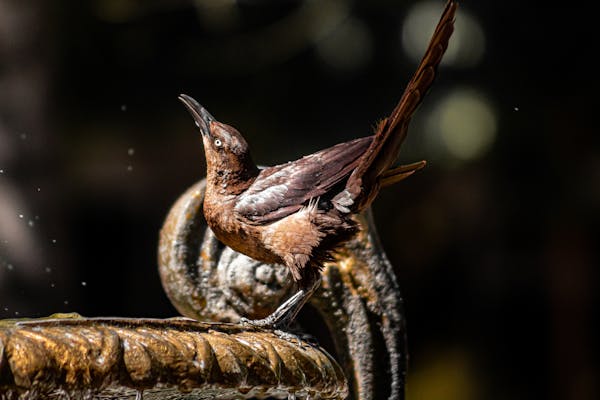 张丰毅领衔电视剧《苍生》 爆火荧屏掀收视狂欢 第2张 张丰毅领衔电视剧《苍生》 爆火荧屏掀收视狂欢 第2张