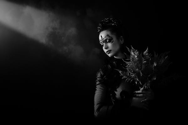 在线影视盛宴!解锁最新免费完整版高清电影 第2张 在线影视盛宴!解锁最新免费完整版高清电影 第2张