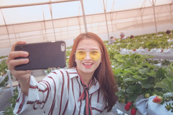 梅艳芳绝唱重现!经典金曲重磅回归,唤醒时代记忆 第2张 梅艳芳绝唱重现!经典金曲重磅回归,唤醒时代记忆 第2张