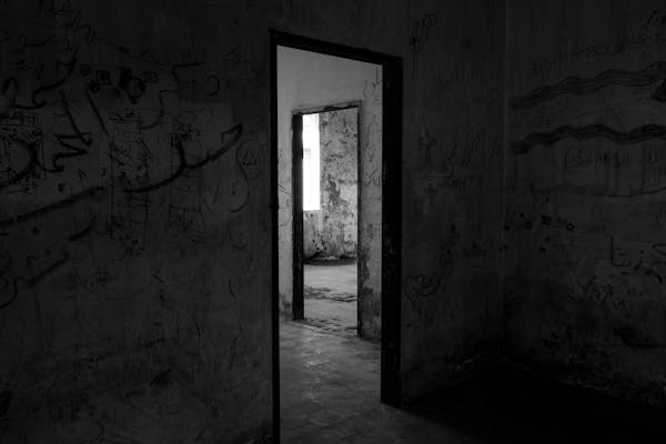 2024端午档观影指南：您最“粽”意哪一部？<span class=