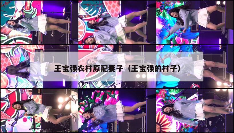 王宝强农村原配妻子(王宝强的村子) 第1张 王宝强农村原配妻子(王宝强的村子) 第1张