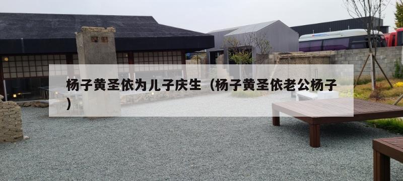 杨子黄圣依为儿子庆生(杨子黄圣依老公杨子) 第1张 杨子黄圣依为儿子庆生(杨子黄圣依老公杨子) 第1张