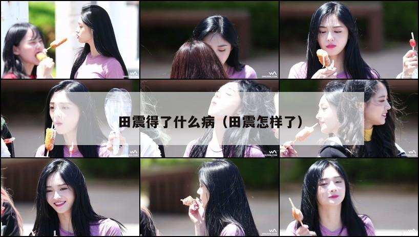 田震得了什么病(田震怎样了) 第1张 田震得了什么病(田震怎样了) 第1张