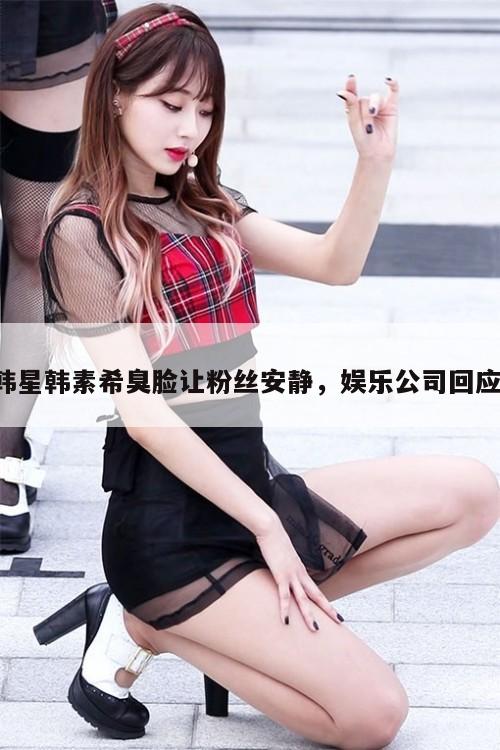 韩星韩素希臭脸让粉丝安静,娱乐公司回应! 第1张 韩星韩素希臭脸让粉丝安静,娱乐公司回应! 第1张