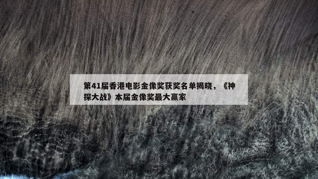 第41届香港电影金像奖获奖名单揭晓,《神探大战》本届金像奖最大赢家 第1张 第41届香港电影金像奖获奖名单揭晓,《神探大战》本届金像奖最大赢家 第1张