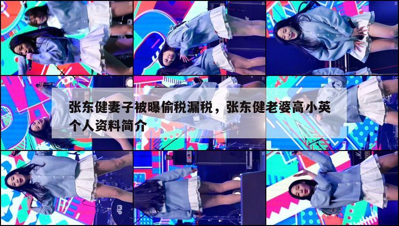 张东健妻子被曝偷税漏税,张东健老婆高小英个人资料简介 第1张 张东健妻子被曝偷税漏税,张东健老婆高小英个人资料简介 第1张