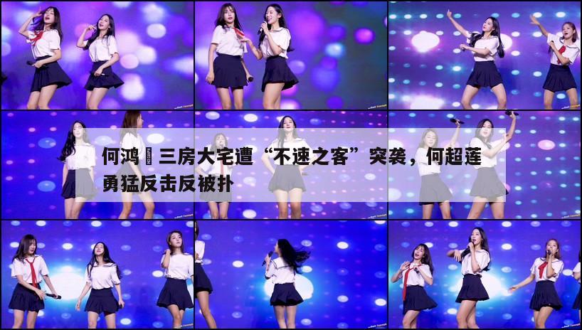 何鸿燊三房大宅遭“不速之客”突袭,何超莲勇猛反击反被扑 第1张 何鸿燊三房大宅遭“不速之客”突袭,何超莲勇猛反击反被扑 第1张