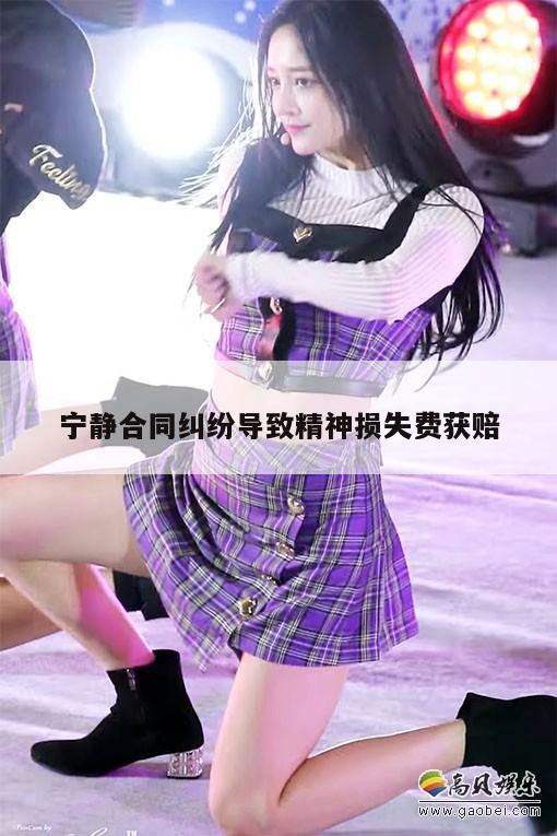 宁静合同纠纷导致精神损失费获赔  第1张