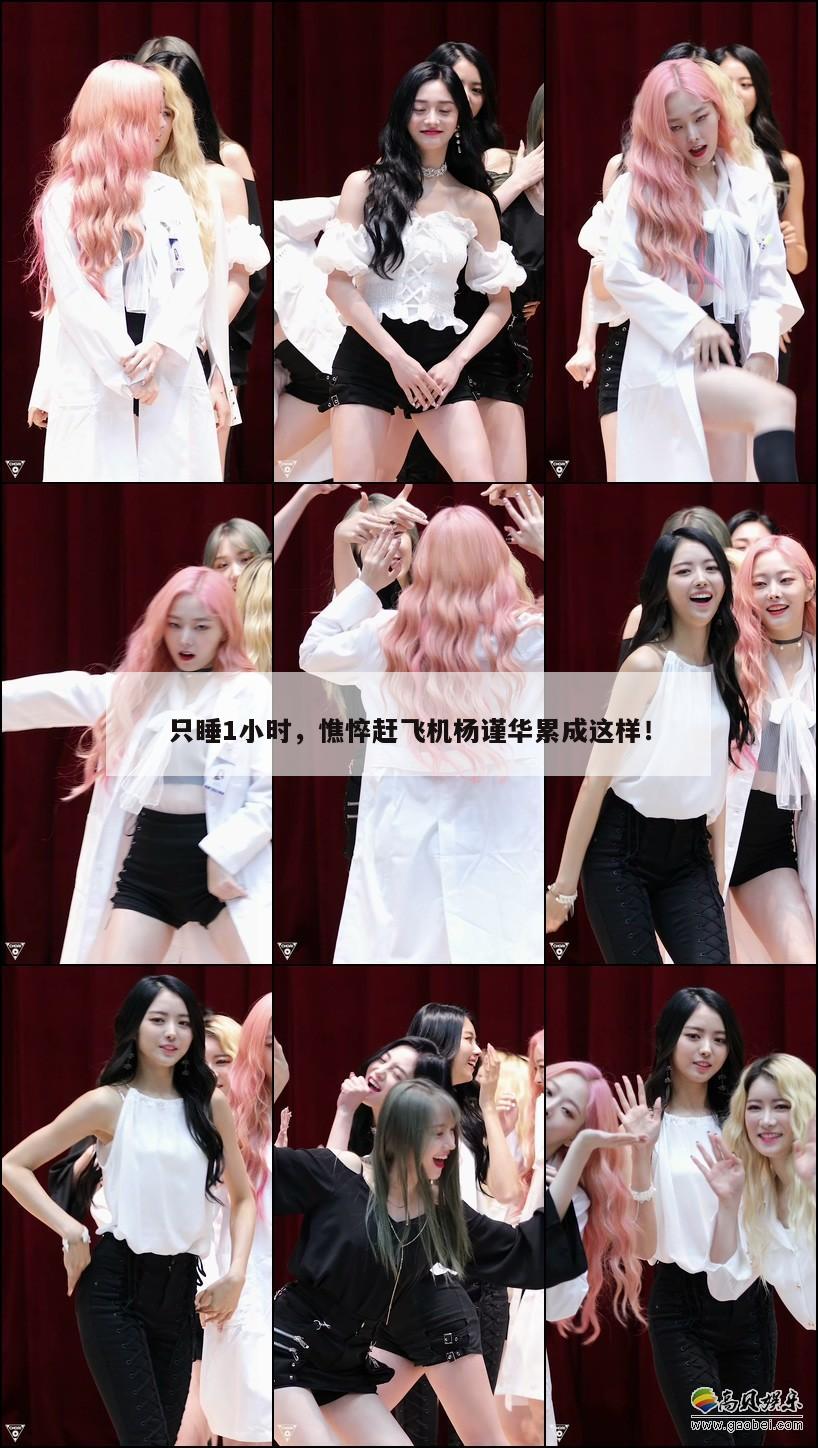 只睡1小时，憔悴赶飞机杨谨华累成这样！  第1张