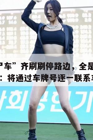 9辆“僵尸车”齐刷刷停路边,全是外地牌!辖区交警:将通过车牌号逐一联系车主挪车。 第1张 9辆“僵尸车”齐刷刷停路边,全是外地牌!辖区交警:将通过车牌号逐一联系车主挪车。 第1张