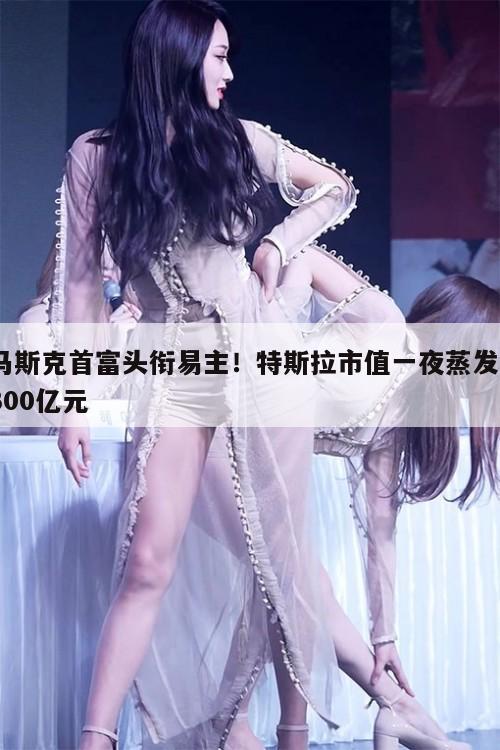 马斯克首富头衔易主!特斯拉市值一夜蒸发3300亿元 第1张 马斯克首富头衔易主!特斯拉市值一夜蒸发3300亿元 第1张