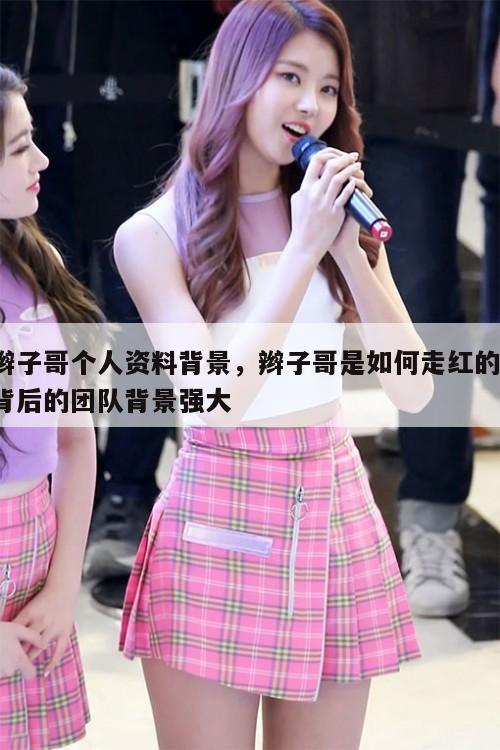 辫子哥个人资料背景,辫子哥是如何走红的,背后的团队背景强大 第1张 辫子哥个人资料背景,辫子哥是如何走红的,背后的团队背景强大 第1张