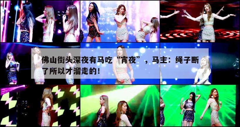 佛山街头深夜有马吃“宵夜”,马主:绳子断了所以才溜走的! 第1张 佛山街头深夜有马吃“宵夜”,马主:绳子断了所以才溜走的! 第1张