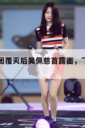 纪犯罪集团覆灭后吴佩慈首露面,飞日本看演唱会 第1张 纪犯罪集团覆灭后吴佩慈首露面,飞日本看演唱会 第1张