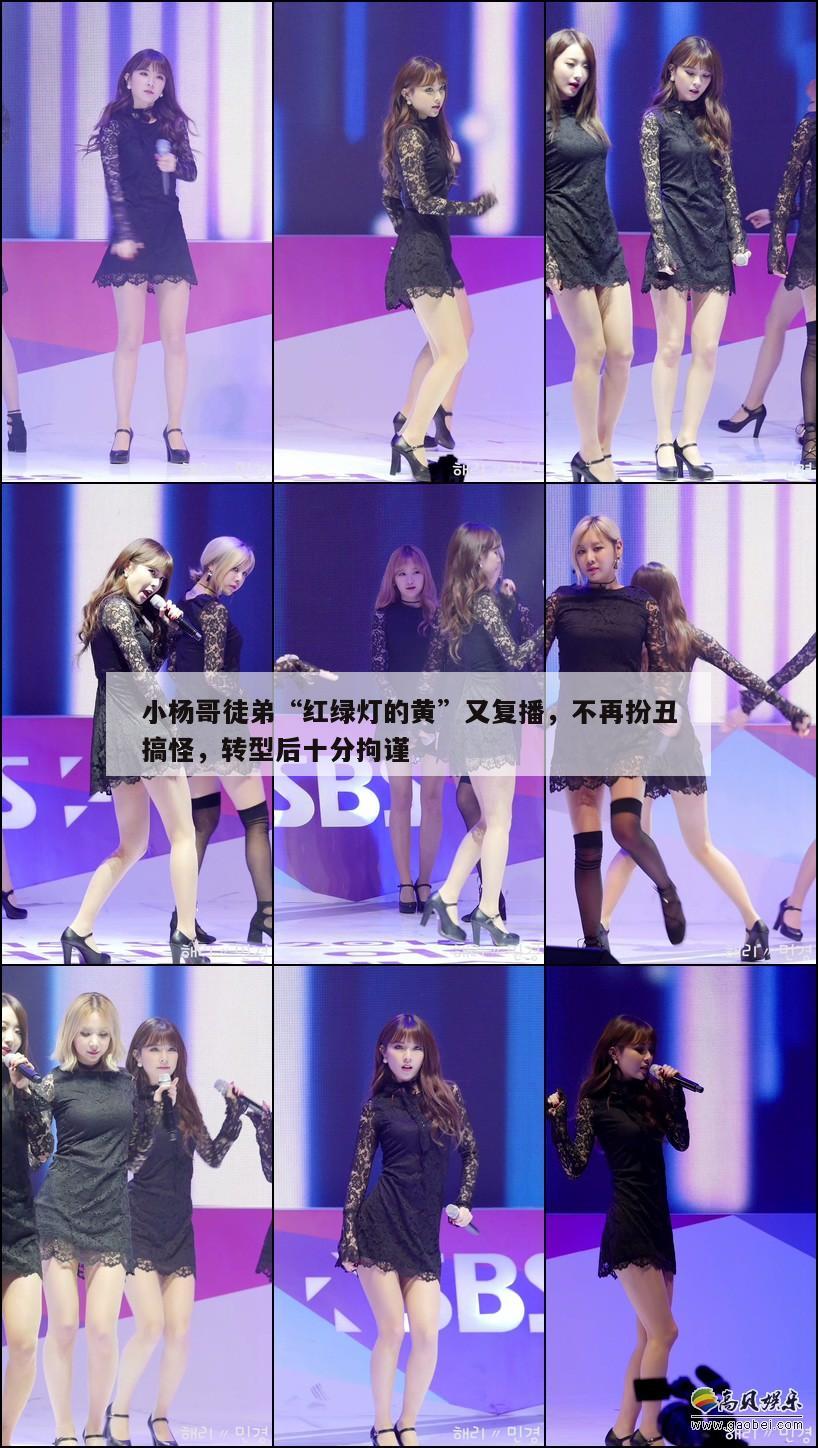 小杨哥徒弟“红绿灯的黄”又复播,不再扮丑搞怪,转型后十分拘谨 第1张 小杨哥徒弟“红绿灯的黄”又复播,不再扮丑搞怪,转型后十分拘谨 第1张