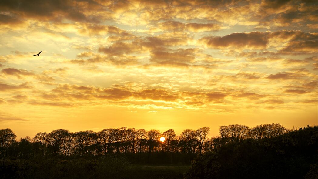 女子乱扔烟头致芦苇荡起火 依法行政拘留10日！  第1张