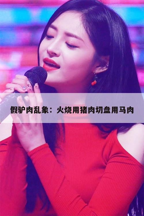 假驴肉乱象:火烧用猪肉切盘用马肉 第1张 假驴肉乱象:火烧用猪肉切盘用马肉 第1张