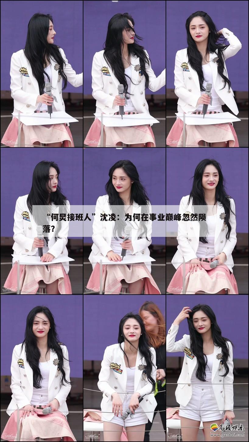 “何炅接班人”沈凌:为何在事业巅峰忽然陨落? 第1张 “何炅接班人”沈凌:为何在事业巅峰忽然陨落? 第1张
