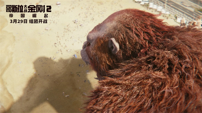 《哥斯拉大战金刚2》曝特辑 大银幕开启地心奇遇 第2张 《哥斯拉大战金刚2》曝特辑 大银幕开启地心奇遇 第2张