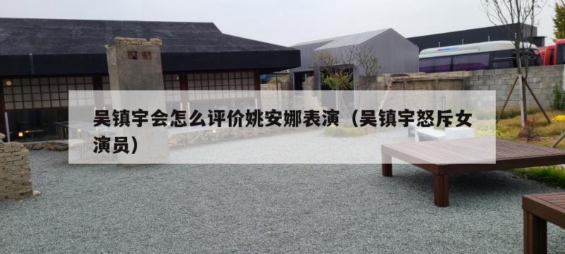 吴镇宇会怎么评价姚安娜表演(吴镇宇怒斥女演员) 第1张 吴镇宇会怎么评价姚安娜表演(吴镇宇怒斥女演员) 第1张