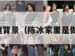 陈冰家庭背景(陈冰家里是做什么的) 第1张 陈冰家庭背景(陈冰家里是做什么的) 第1张