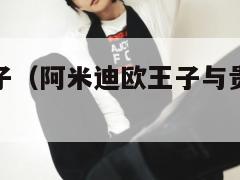 阿米迪欧王子(阿米迪欧王子与贵族之间的联姻) 第1张 阿米迪欧王子(阿米迪欧王子与贵族之间的联姻) 第1张