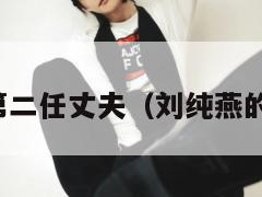 刘纯燕的第二任丈夫(刘纯燕的丈夫是谁) 第1张 刘纯燕的第二任丈夫(刘纯燕的丈夫是谁) 第1张