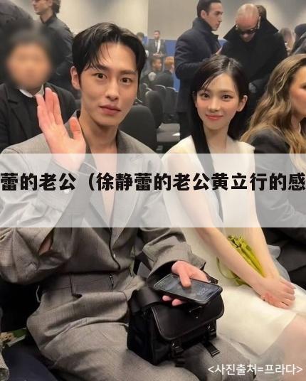 徐静蕾的老公(徐静蕾的老公黄立行的感情经历) 第1张 徐静蕾的老公(徐静蕾的老公黄立行的感情经历) 第1张