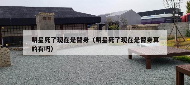 明星死了现在是替身(明星死了现在是替身真的有吗) 第1张 明星死了现在是替身(明星死了现在是替身真的有吗) 第1张