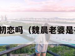 魏晨老婆是初恋吗(魏晨老婆是初恋吗图片) 第1张 魏晨老婆是初恋吗(魏晨老婆是初恋吗图片) 第1张