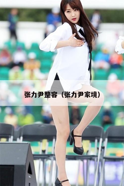 张力尹整容(张力尹家境) 第1张 张力尹整容(张力尹家境) 第1张