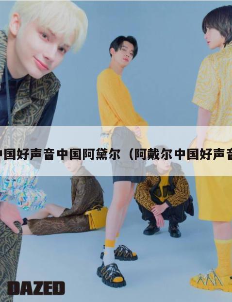 中国好声音中国阿黛尔(阿戴尔中国好声音) 第1张 中国好声音中国阿黛尔(阿戴尔中国好声音) 第1张