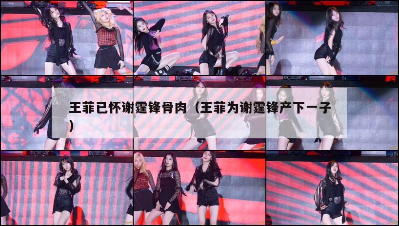 王菲已怀谢霆锋骨肉(王菲为谢霆锋产下一子) 第1张 王菲已怀谢霆锋骨肉(王菲为谢霆锋产下一子) 第1张
