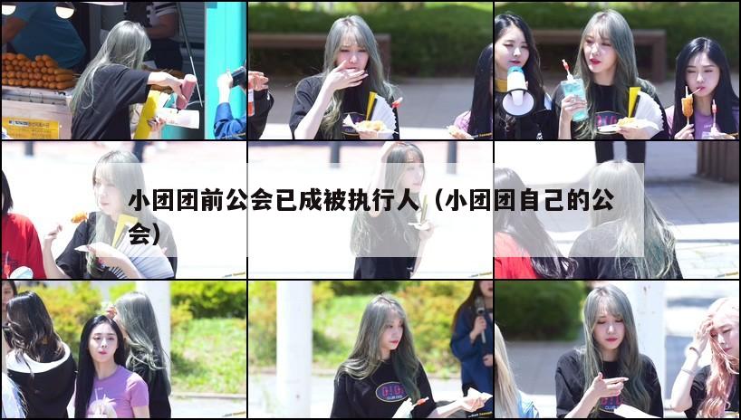 小团团前公会已成被执行人（小团团自己的公会）  第1张