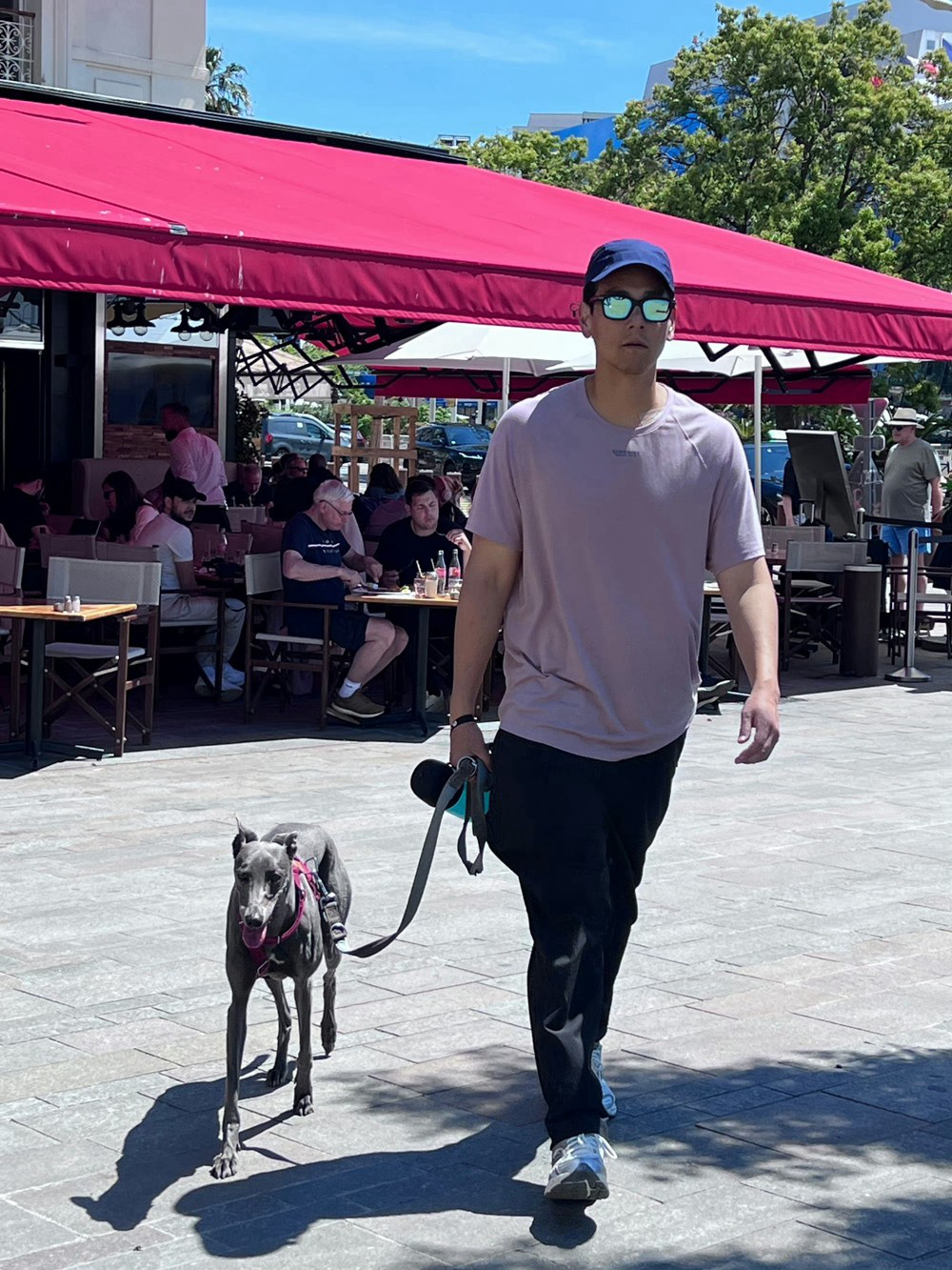 彭于晏戛纳遛狗遇《芭比》导演 沉浸式宣传新片  第2张